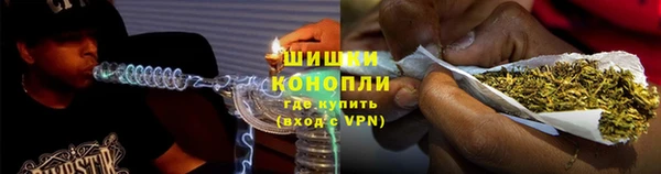 mdpv Богородицк
