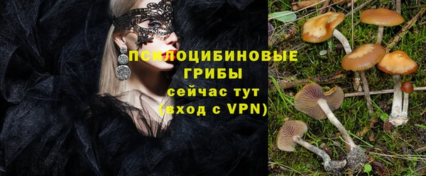мдпв Покачи